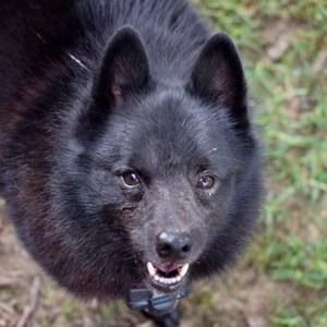 Meet your Posher, Charlotte